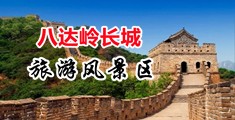 免费操逼毛片中国北京-八达岭长城旅游风景区